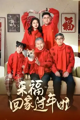 来福回家过年啦海报图片