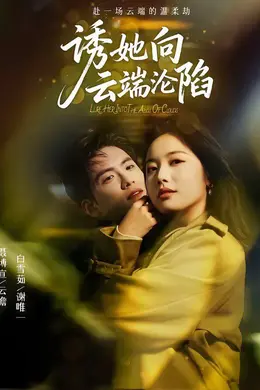 诱她向云端沦陷海报图片