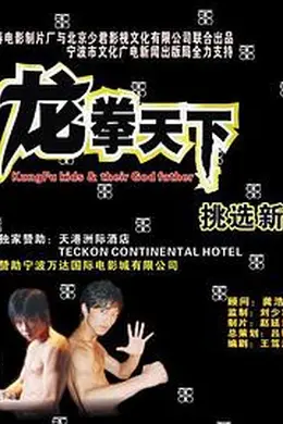 龙拳天下封面图