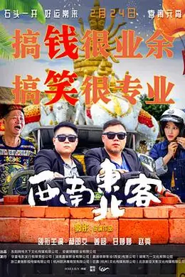 西南东北客封面图