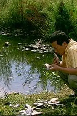 来福，来福封面图