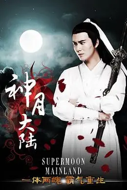 神月大陆封面图