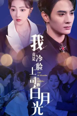 我竟是冷脸上司的白月光海报图片