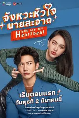 泰版狐狸的夏天封面图