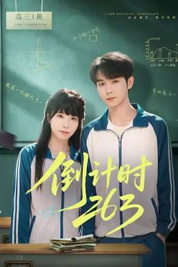 倒计时263海报图片