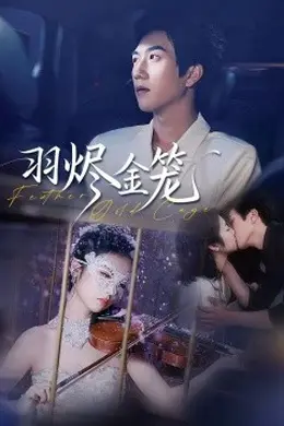 羽烬金笼海报图片