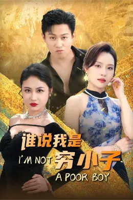 谁说我是穷小子海报图片