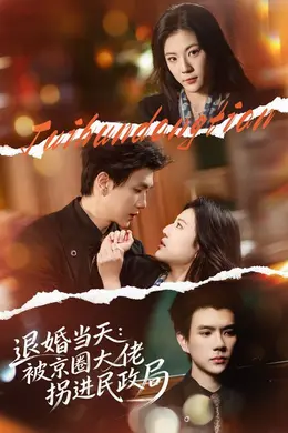 退婚当天：被京圈大佬拐进民政局封面图