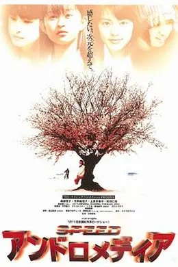 仙女座报告封面图