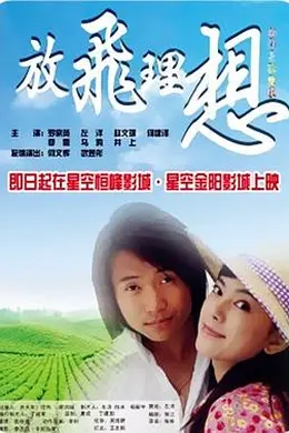 放飞理想封面图