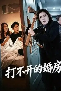 打不开的婚房封面图
