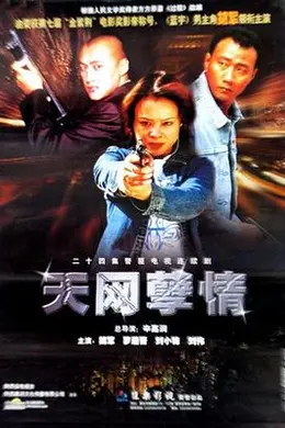 天网孽情封面图