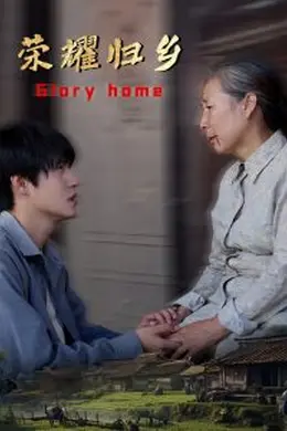 荣耀归乡海报图片