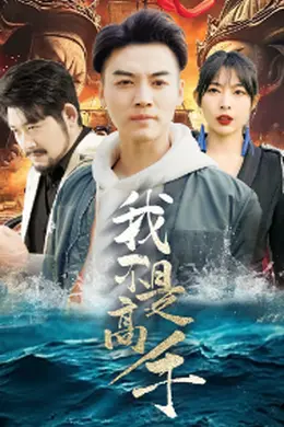 我不是高手海报图片