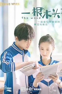 一根木头封面图