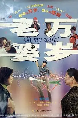 老婆万岁封面图