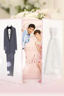 结婚真好封面图