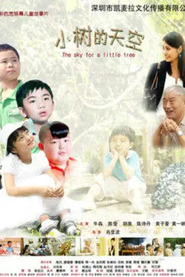 小树的天空封面图