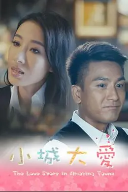 小城大爱系列剧粤语封面图