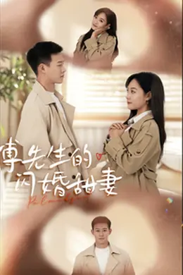 傅先生的闪婚甜妻海报图片