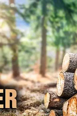 终极伐木达人第一季海报图片