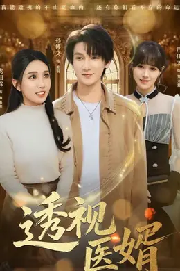 透视医婿海报图片