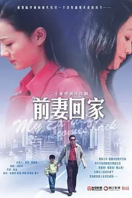 前妻回家封面图