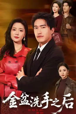 金盆洗手之后海报图片