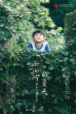 西小河的夏天封面图