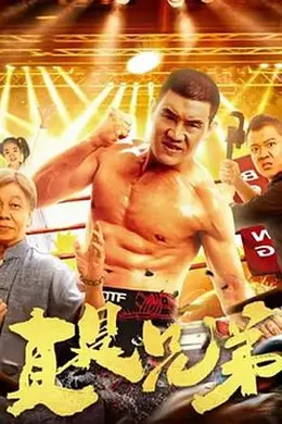 真是兄弟封面图