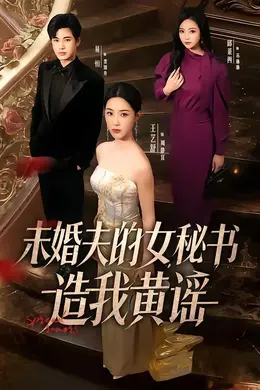 未婚夫的女秘书造我黄谣封面图