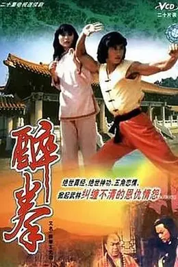 醉拳王无忌国语封面图