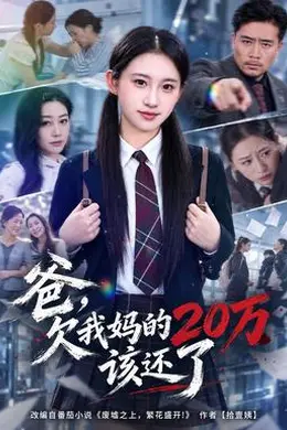 爸，欠我妈的20万该还了封面图
