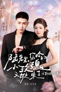 陆先生，你捡的小玫瑰又掀桌了之荆棘玫瑰（太子爷的小玫瑰又掀桌了）海报图片