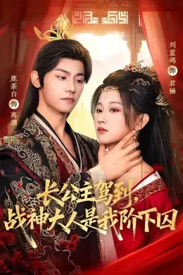 长公主驾到，战神大人是我阶下囚封面图