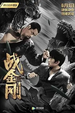 战金刚封面图