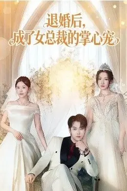 退婚后，成了女总裁的掌心宠海报图片