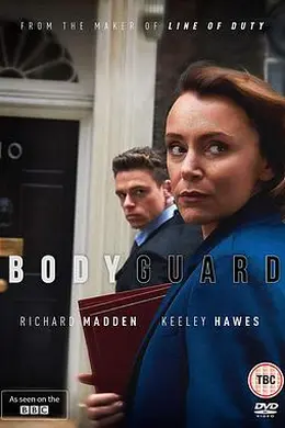 贴身保镖 第一季封面图