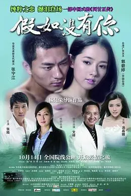 假如没有你封面图