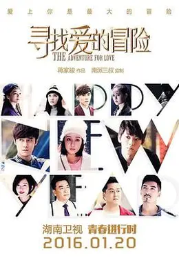 寻找爱的冒险封面图