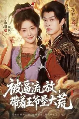 被逼流放，带着王爷垦大荒海报图片