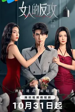 女人的反攻封面图