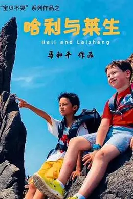 哈利与莱生封面图