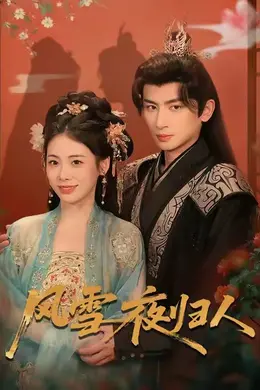 风雪夜归人海报图片