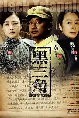 黑三角2008封面图