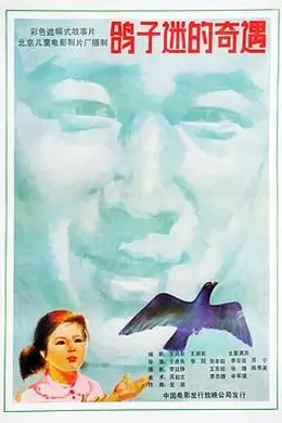 鸽子迷的奇遇封面图