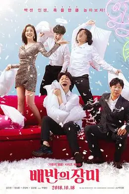 背叛的玫瑰封面图