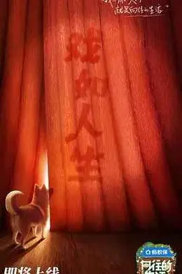 向往的生活 第八季封面图