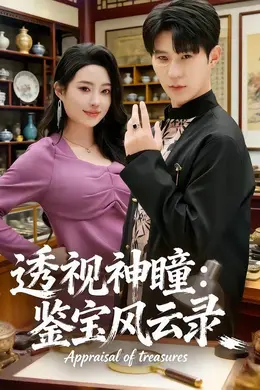 透视神瞳：鉴宝风云录封面图