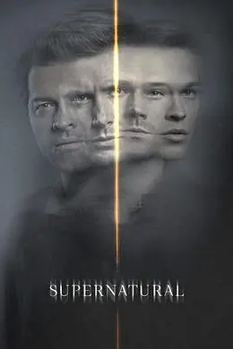 邪恶力量 第十五季封面图